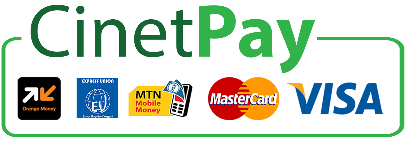 Mobile Money Payment