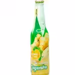 Africa drink Jus de gingembre 33cl